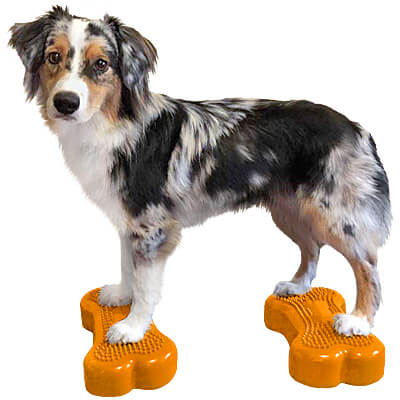 FitPAWS K9FITbone Balance Bones - Mini, Set of 2